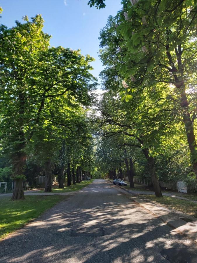 Balatonszemesi Nyaralohaz Villa Exteriör bild